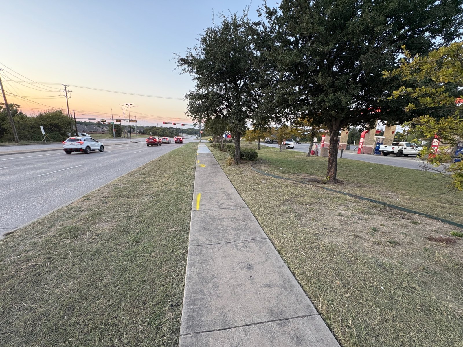 Trees and lawn beside a sidewalk